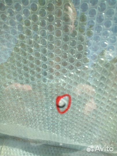 Стекло переднее Nissan Terrano 3 D10 2014