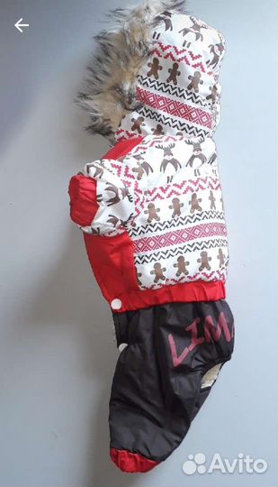 Одежда для собак мелких пород