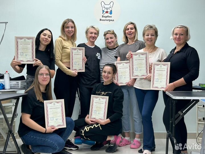 Курсы груминга (обучение стрижке собак и кошек )