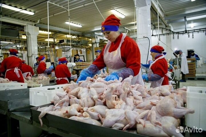 Работа на птицефабрике с проживанием