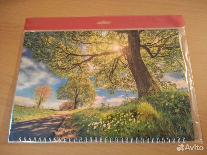 Календарь шорт настенный пейзаж природа 2023 год