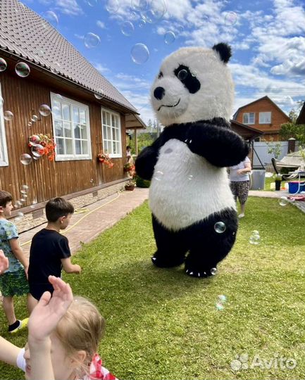 Белый мишка поздравление. Медведь на праздник
