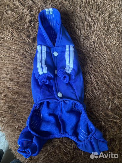 Комбинезон для собачки