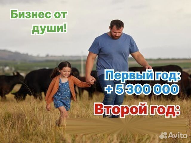Сельскохозяйственное агентство в городе, Гомель