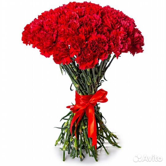 Диантусы она же гвоздика