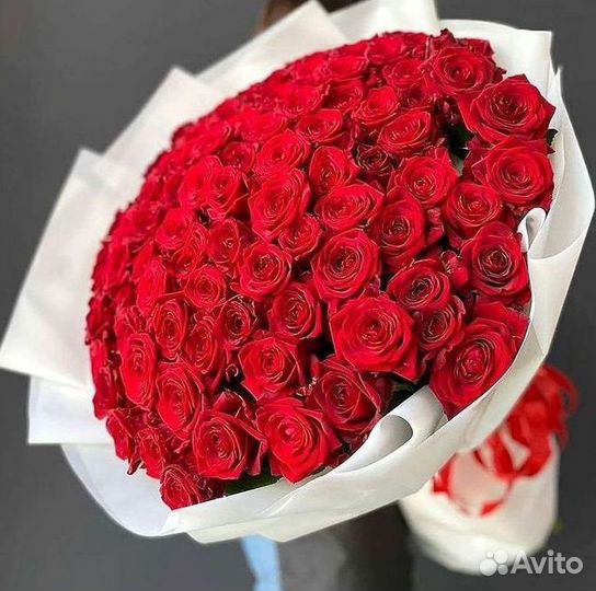 Метровые розы с доставкой