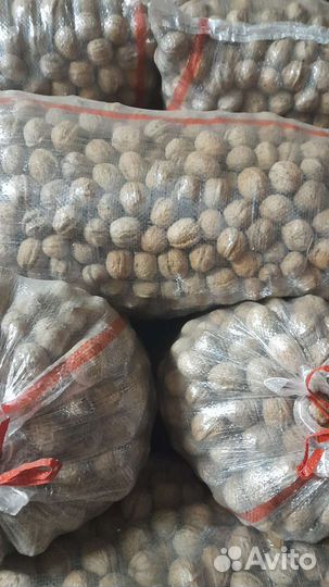 Грецкий орех и фундук