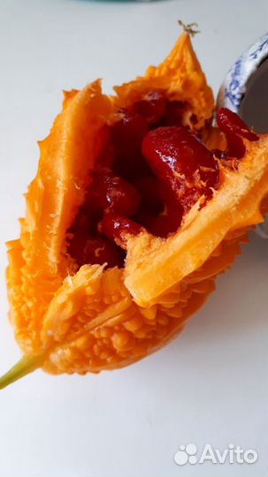 Семена момордики