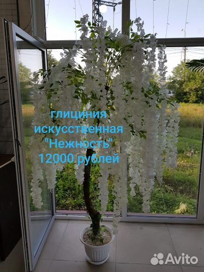 Глициния искусственная