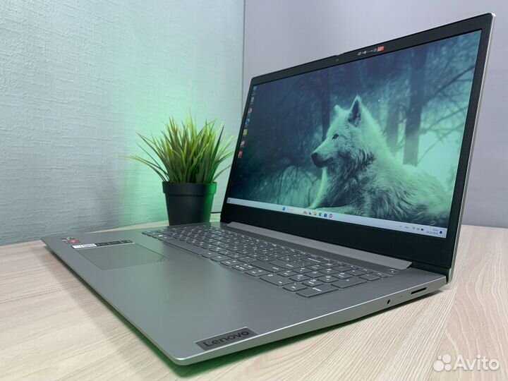 Ноутбук Lenovo 17 дюймов Ryzen 3/8Gb