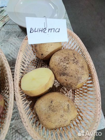 Продам картофель