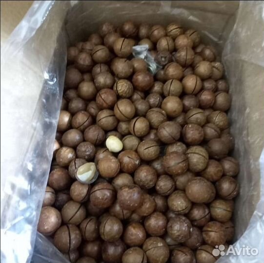 Макадамия орех урожай 2023