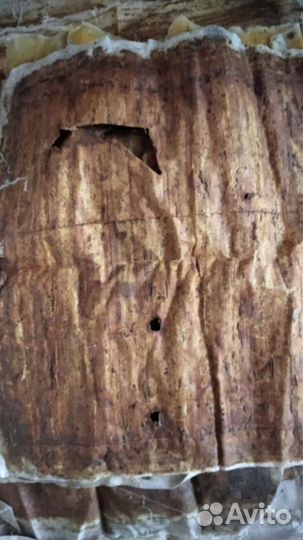 Холстик прополисный - положок