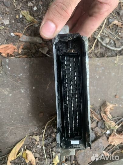 Мозги на волгу газ 31105