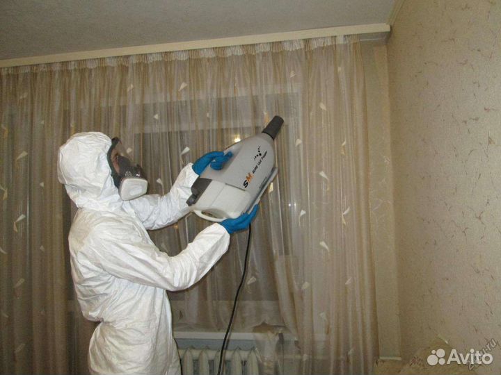 Дезинфекция