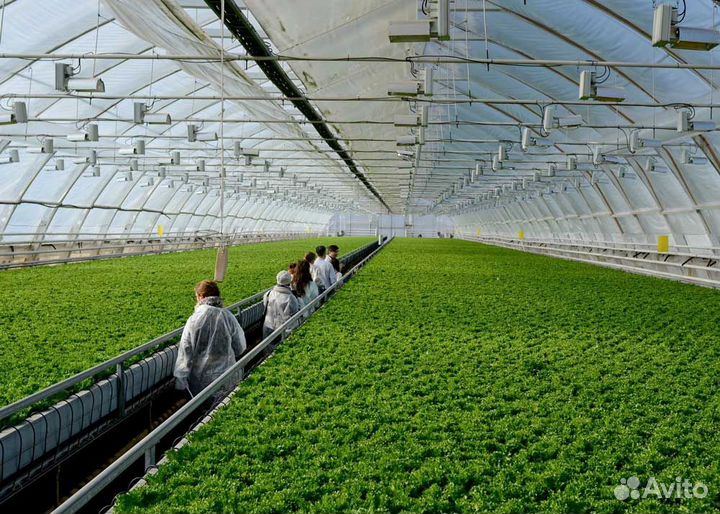 Разнорабочий вахта