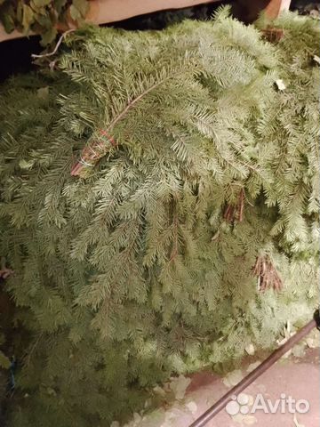 Пихтовые веники