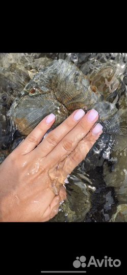 Маникюр, педикюр на дому