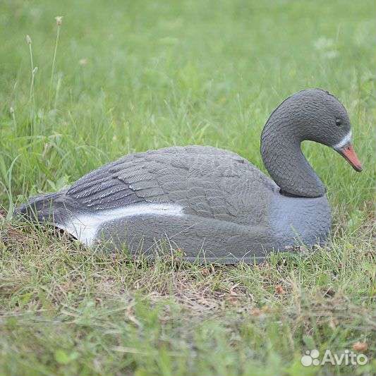 Чучела гусей (скорлупки) 23 шт
