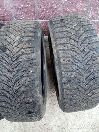 Triangle IcelynX TI501 215/55 R17