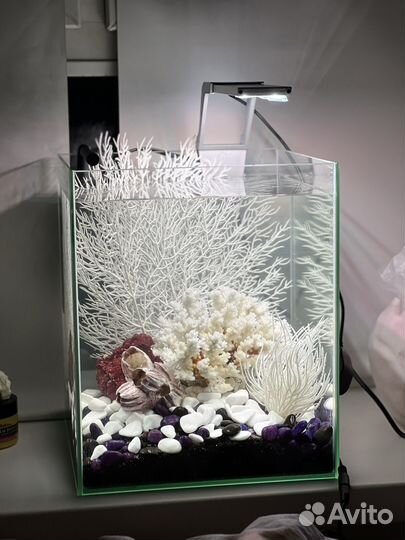 Аквариум с оборудованием и декором