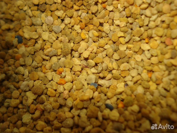 Пыльца пчелиная