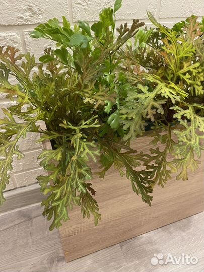 Кашпо перегородка с растениями