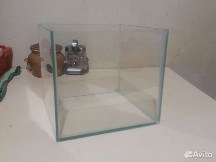 Стеклянный куб,аквариум,флорариум