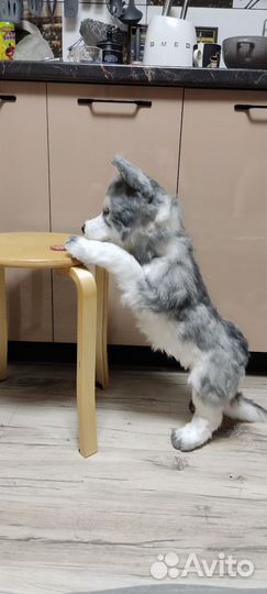 Реалестичные игрушки