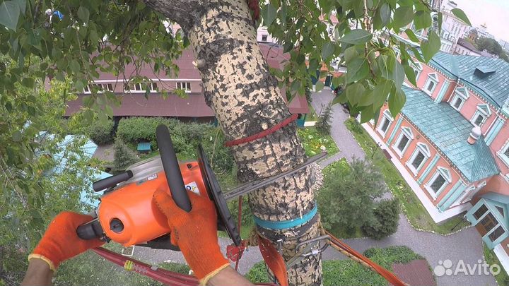 Спил деревьев расчистка участка корчевание пней