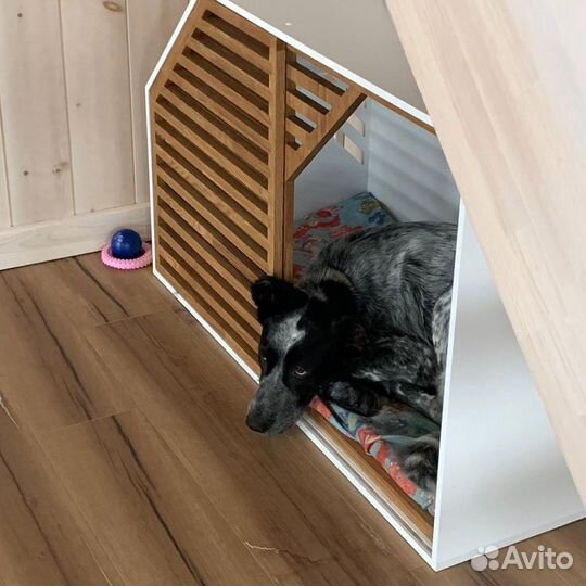 Вольер для Большой собаки