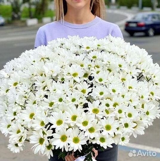 Хризантема Букеты с доставкой