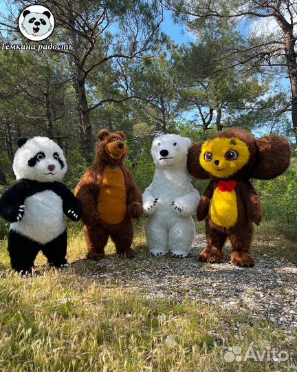 Ростовые куклы экспресс поздравления