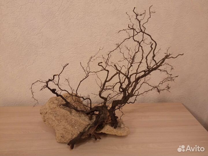 Бонсай. Ручная работа