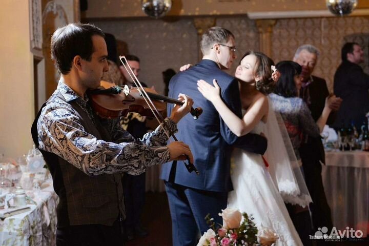 Живая музыка, скрипка