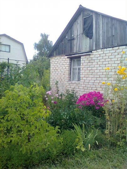 Дача 29 м² на участке 6 сот.