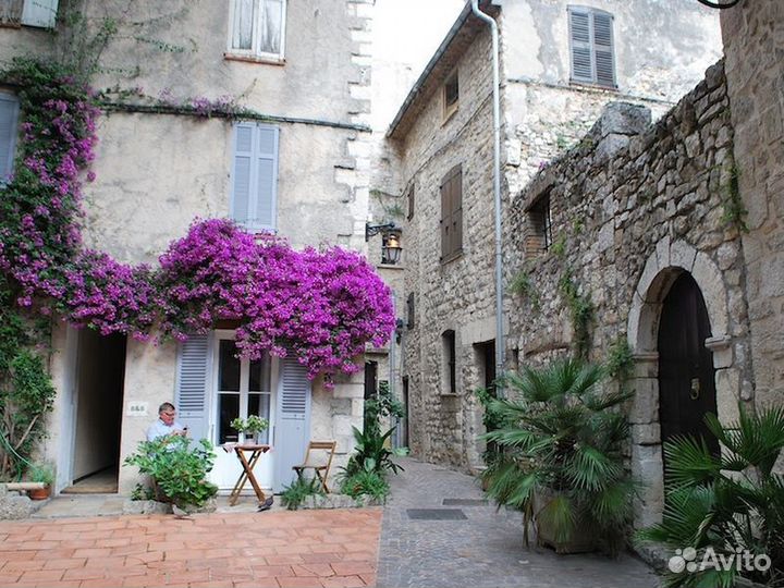 Экскурсия — Ницца — Атмосферный Антиб, или La vie