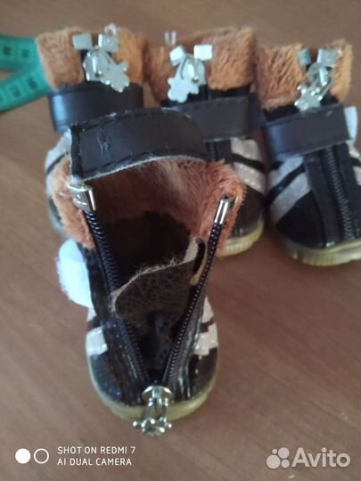 Обувь для собак