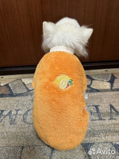 Одежда для маленьких собак