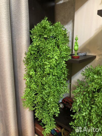 Искусственный самшит ампельный