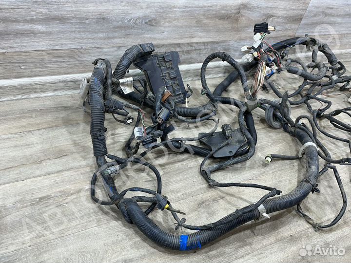 Проводка моторного отсека Nissan Primera P12