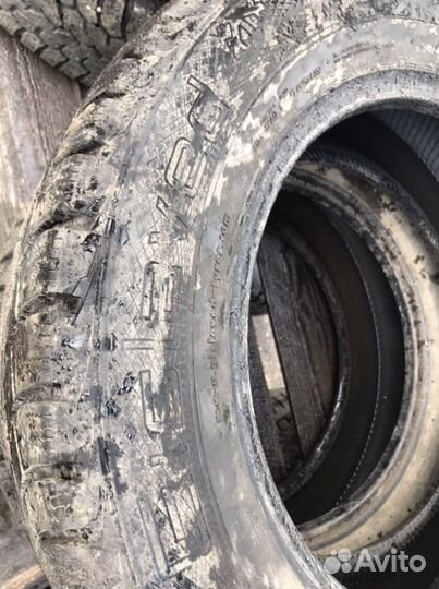 Gislaved Nord Frost 5 195/65 R15