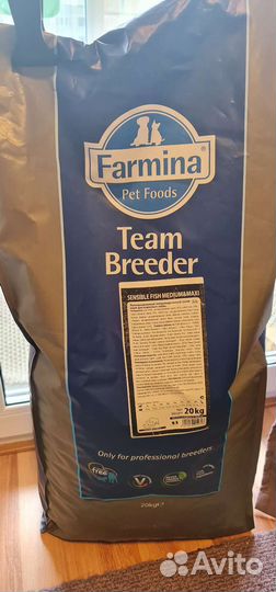 Гипоаллергенный сухой корм для взрослых собак