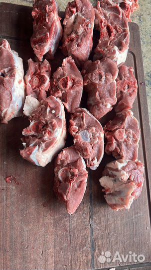 Мясо барашка