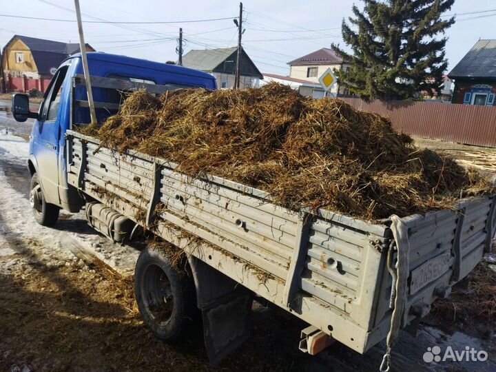 Навоз коровий