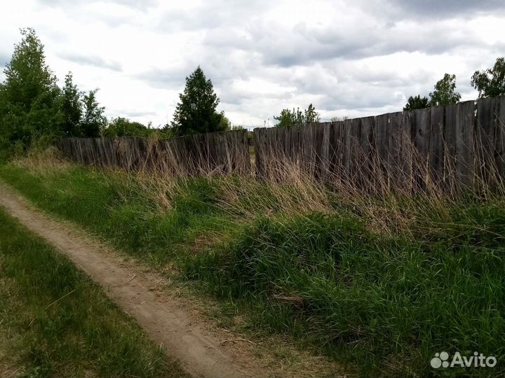 Скосишу траву триммером