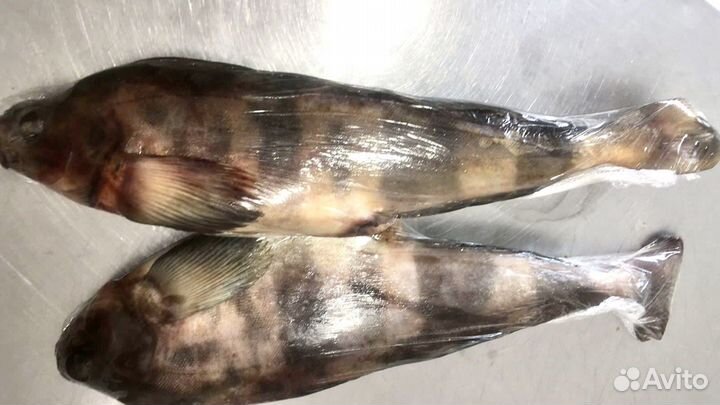 Терпуг с/м нр 800+