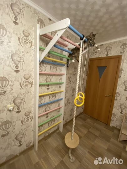 Шведская стенка