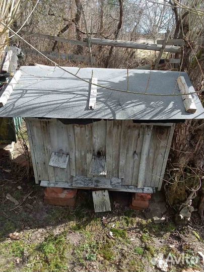 Продам ульи (пчел)