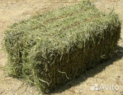 Продам сено в тюках